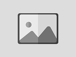 no images